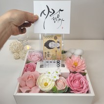 설날 어버이날 돈티슈 반전용돈박스 부모님 생신 돈선물 현금선물 용돈박스, 2.파스텔핑크