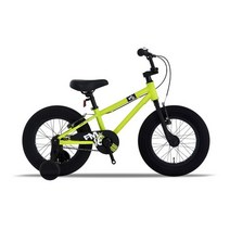 스마트 아동용 에프엠 FM 16 팻바이크, 그린 무광