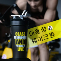 화양년화 블렌딩 쉐이커 보틀 쉐이크통 파우더통 분리 헬스 쉐이커통 헬스 물통 텀블러 세척솔 증정, 블랙, B형 450ML 1개(케이스3개 포함)