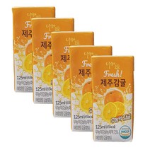 나무야 제주 무농약 감귤 주스 125ml 어린이주스, 5팩