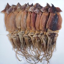 울릉도 당일잡이 마른 오징어 10마리 800g, 건오징어 10마리 800g