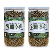 양배추환 심지까지 cabbage 국산 450g 2통, 단품, 단품