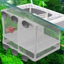 기타 바보사랑[미미네아쿠아]아쿠아블루 치어망(대) GL-02- 치어격리 부화통, 1개