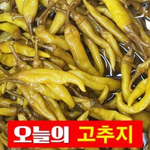 건영푸드 염장고추(수입산) 1BOX, 10kg