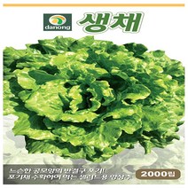 다농생채상추 씨앗 2000립