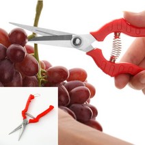 원예 전지가위 21cm 하우스자재 꽃꽂이가위 농사용품 가든용품 포도가위 전지가위가격 가지치기가위 전지가위집