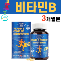 비타민B 비타민비 바이타민 비타민비군 수용성 임산부 수유부 비타민 B군 B1 B2 B6 B12 판토텐산 비오틴 나이아신 이노시톨 결정셀룰로스 엽산 캐나다 직수입, 560mg