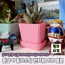 분갈이 플라스틱 빈화분 미니 플분 핑크 사각