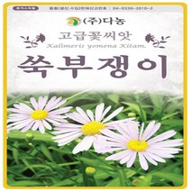 야생화 꽃씨 쑥부쟁이 1.5g