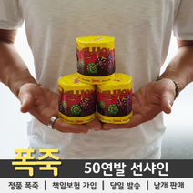 [불꽃놀이 폭죽] 50연발 선샤인