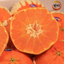 맛가득 제주도 레드향 천혜향 한라봉 황금향 타이벡 감귤 가정용 선물용 3Kg 5Kg 10Kg, 당도선별 천혜향 5Kg 11-15과