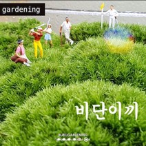 비단이끼 소 중 대 / 테라리움 재료 비바리움 석부작 부부가드닝