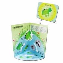 개구리의 한살이(5인세트) RTS