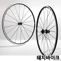 마빅 시리움 SL 림브레이크 휠셋 / 이엑스오 / 돼지바이크, 캄파놀로