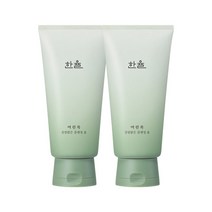 한율 어린쑥 진정맑은 클렌징폼 저자극 피부진정 세안제 120g X2