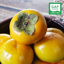 [창원직송] 경남창원 이봉래님의 송본 단감 10kg, (왕특) 10kg