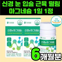 신경에 좋은 마그네슘 보충제 마그네시움 어린이 성장 영양제 추천 안면 근육 떨림 신경 근육 경련 40대 입 윗 왼쪽 눈꺼풀 시어머니 엄마 여자 생신 선물 허벅지 부모님 눈 아래, 2박스(6개월분)