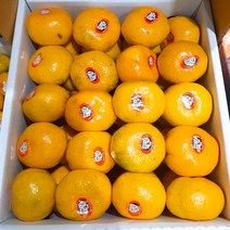 달달과수원 감귤 선물세트 3kg 3~40여개 추석선물세트 추석 과일 선물추천 특품, 1박스(3kg)