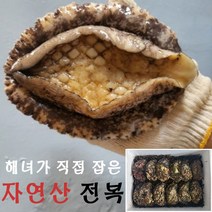 해녀가 직접 잡은 국산 통영 자연산 전복 활전복 1kg 산지직송 선물용 5종 (소 중 대 특대 스페셜), 04.자연산 전복 선물 4호_1kg (특대 4미)