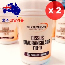 호주직구 시서스 120캡슐 벌크뉴트리언츠 시써스 10배농축 호주코알라몰, 120정, 2개