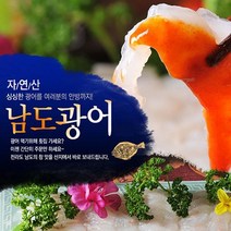 강진 마량향 산지직송 쫄깃하고 싱싱한 자연산 손질 광어회 200g+양념3종