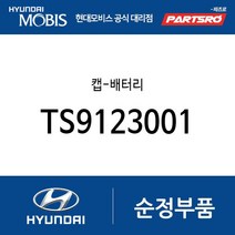 캡-배터리(+) (TS91230-01) EF쏘나타 트라제XG 쏘나타EF