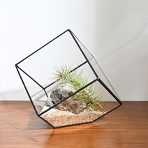 공기정화식물 틸란드시아 큐브 유리화분 DIY키트 3종, 01.블랙M 세트