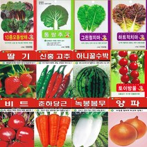 SN월드 씨앗 모음 쌈채소 열매채소 뿌리채소 특허 특수씨앗, 2.열매채소, 딸기