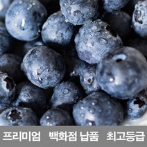 500g_납품_백화점_생_수입산_영화청과_재배_시세_보관_프리미엄_저장_냉동_블루베리 E033, 상세페이지 참조