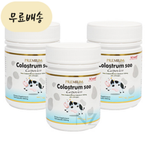 프리미엄 초유 단백질 500mg 120캡슐 3개 약6달 뉴질랜드 하이웰, 120개