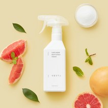 생활공작소 다목적 세정제, 400ml, 4개