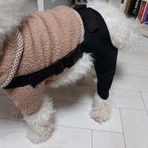 강아지 반려동물 슬개골 무릎 관절 다리 보호대 쓸개골 탈골 보조기, M