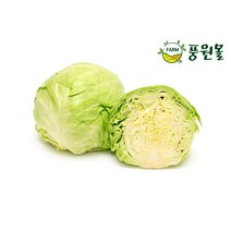 풍원영농조합법인 양배추, 양배추 1BOX, 3.5kg내외