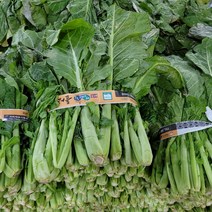 여수 돌산갓 청갓 1단 (2.5kg-3kg내외)