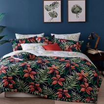 아날도바시니 스텔라 누비매커세트 Q(null)