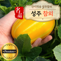 산지직송 성주 참외 햇 가정용 2kg 4kg 중과 대과 혼합과 박스포장, 중대과_2kg, 1개