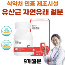 웰러스 바른 철분 24mg GMP 제조시설 유산균 자연유래 원료 임산부 어린이 철분제 식약처인증, 3개, 270정