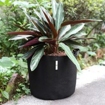 그로우백 부직포화분 블랙 대형 1개 공기순환 텃밭 베란다