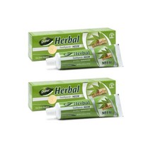 다부르 님 치약 154g 2팩 Dabur Toothpaste (Neem 154 Gram)
