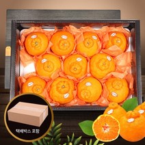 제주_1/11-1/15_3kg_[참다올]_한정수량_감귤_3kg(13-16과)_명품_증정_한라봉_사은품 EB70, 상세페이지 참조