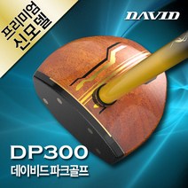 데이비드 프리미엄 파크골프채 세트상품 DP300 골프채 가방 볼 파크골프, 프리미엄 DP300 남성