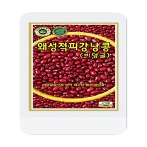 왜성적피강낭콩씨 30g 콩씨 두리 씨앗 KS종묘