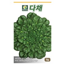 갑조네 잎줄기채소 씨앗 모음, 다채(씨앗), 1개