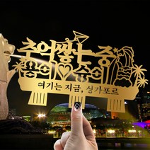 e베이비랜드 [자유문구] 여행토퍼 케이크토퍼 제작, TP465_랜마싱가_골드
