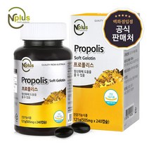 [마더네스트] 엔플러스 프로폴리스 505mg 240캡슐 항산화 면역, 단품, 단품