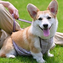 강아지 배가리개 닥스훈트 웰시코기 우비 비옷 앞치마 개우비, Lㅡ브라운