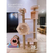 대형 원목 캣타워 아크릴 고양이 보울 스크래처 반려묘, E타입 캣타워
