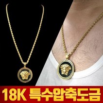에이치플러스몰 남성 남자 18k 특수압축도금 목걸이 사자팬던트체인