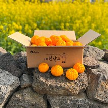 품질보증 제주 고당도 명품감귤 신비향(수라향) 2kg, 명품 감귤 신비향 5kg(가정용/중소과)
