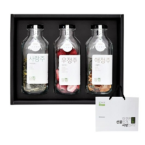 꿈에그린농장 담향 담금주 키트 2호 + 쇼핑백 선물세트 야관문 23g + 딸기 19g + 감귤 16g, 2세트